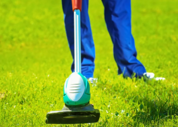 Best electric weed eater and mower reviews and complete buying guide